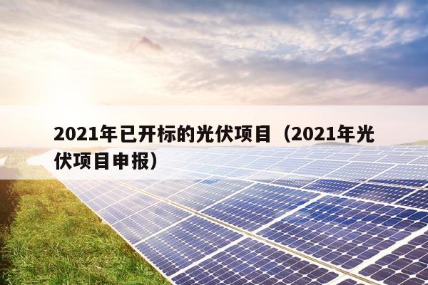 2021年已开标的光伏项目（2021年光伏项目申报）