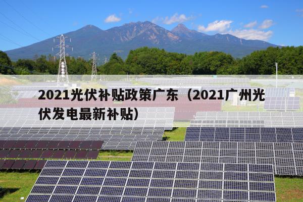 2021光伏补贴政策广东（2021广州光伏发电最新补贴）