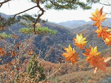 太阳能发电投资回收期（太阳能发电几年收回成本？）