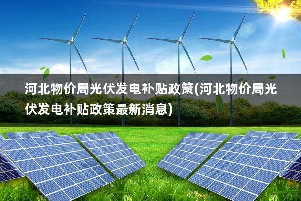 河北物价局光伏发电补贴政策(河北物价局光伏发电补贴政策最新消息)