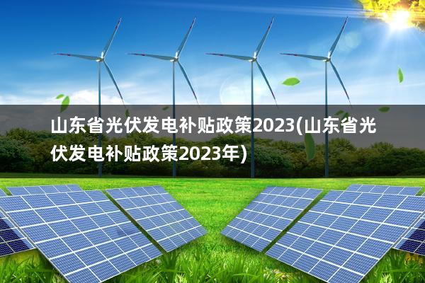 山东省光伏发电补贴政策2023(山东省光伏发电补贴政策2023年)