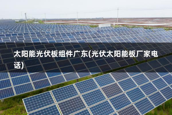 太阳能光伏板组件广东(光伏太阳能板厂家电话)