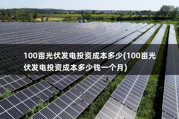 100亩光伏发电投资成本多少(100亩光伏发电投资成本多少钱一个月)